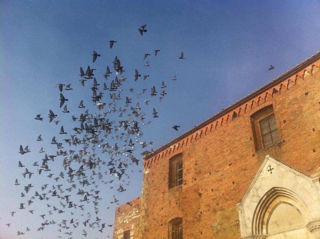 La Locanda Di San Francesco Montepulciano Stazione Værelse billede